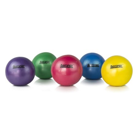 AEROMAX 4 lbs Hand Held Weight Ball - Purple AE12862